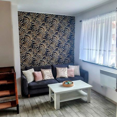 Villa U Przyjaciol à Zarnowska Extérieur photo